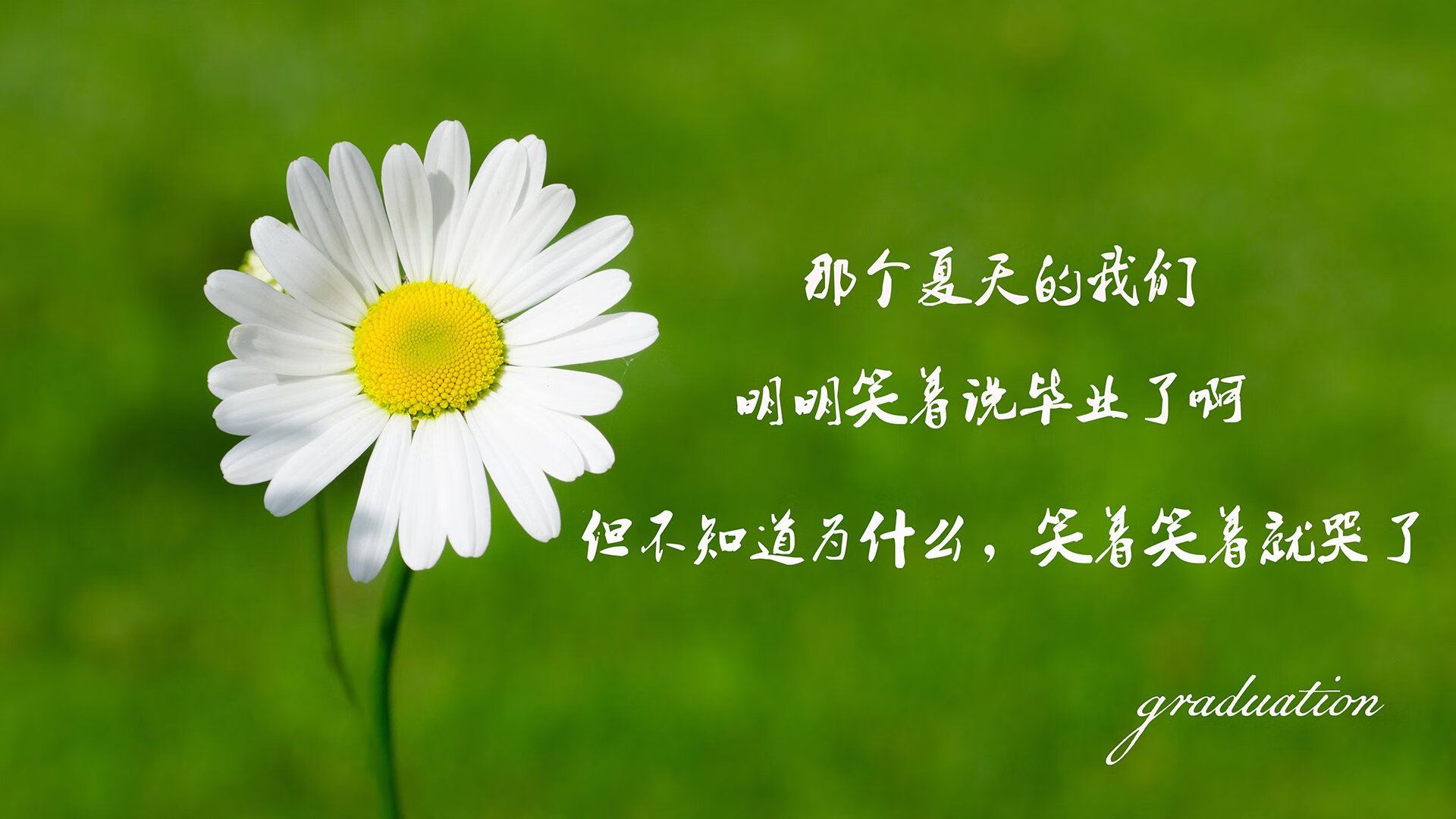 曼联在2024年欧联杯决赛中0-1不敌热刺，未能夺冠，曼联进欧联杯决赛