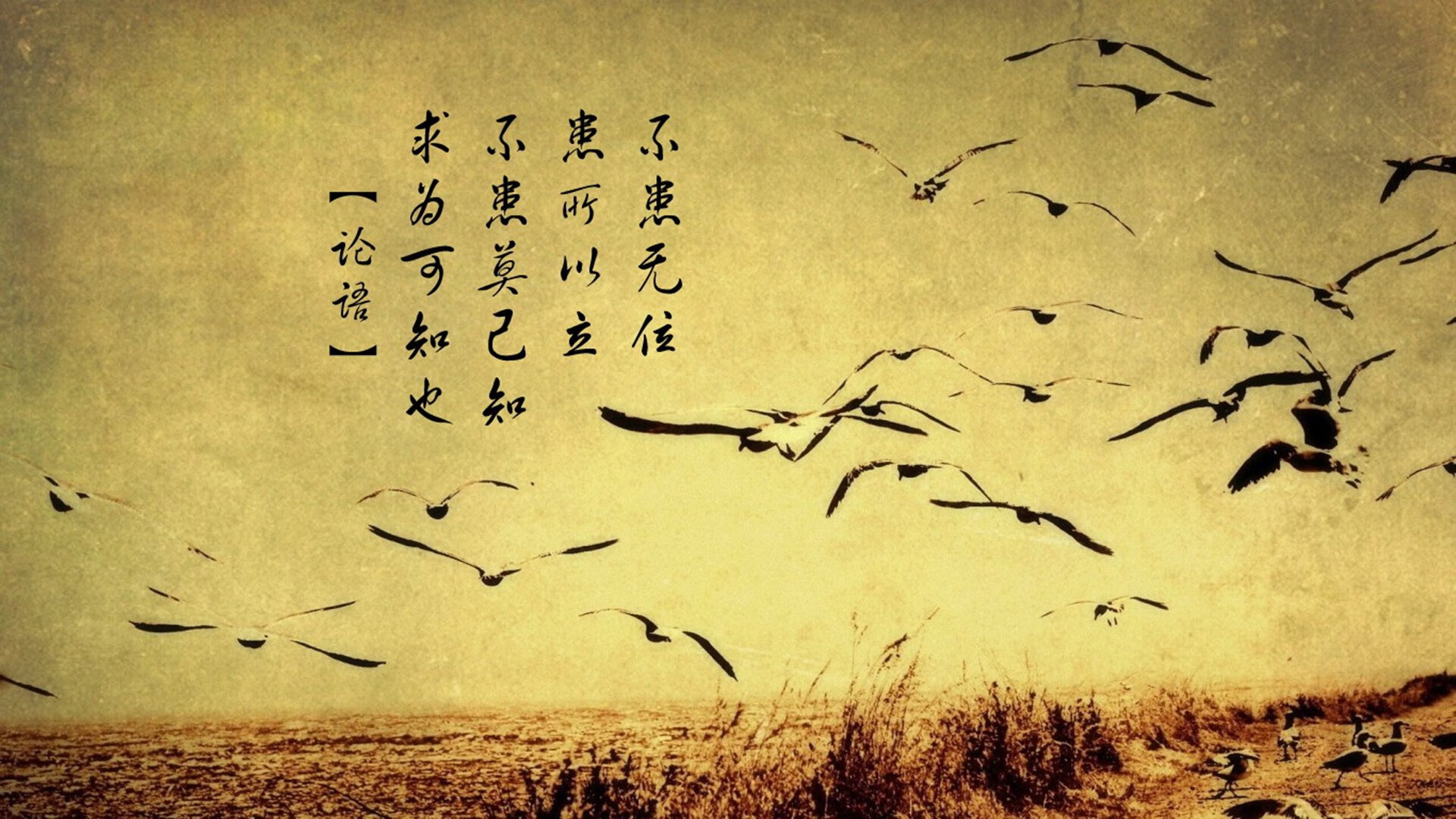 kaiyun体育综合-法甲：摩纳哥在主场完胜保级队，继续冲击欧战席位，摩纳哥法甲夺冠阵容照片