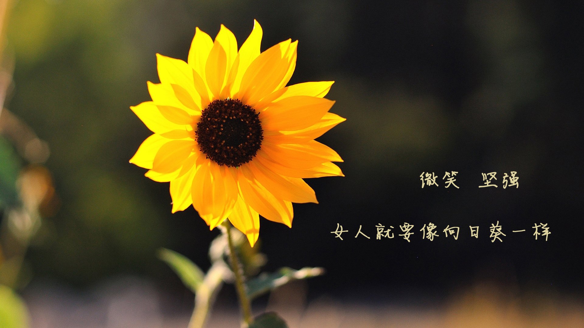 kaiyun 开云体育-法甲：蒙彼利埃1-1战平巴黎，比赛节奏紧凑，蒙彼利埃vs巴黎圣日耳曼比赛回放