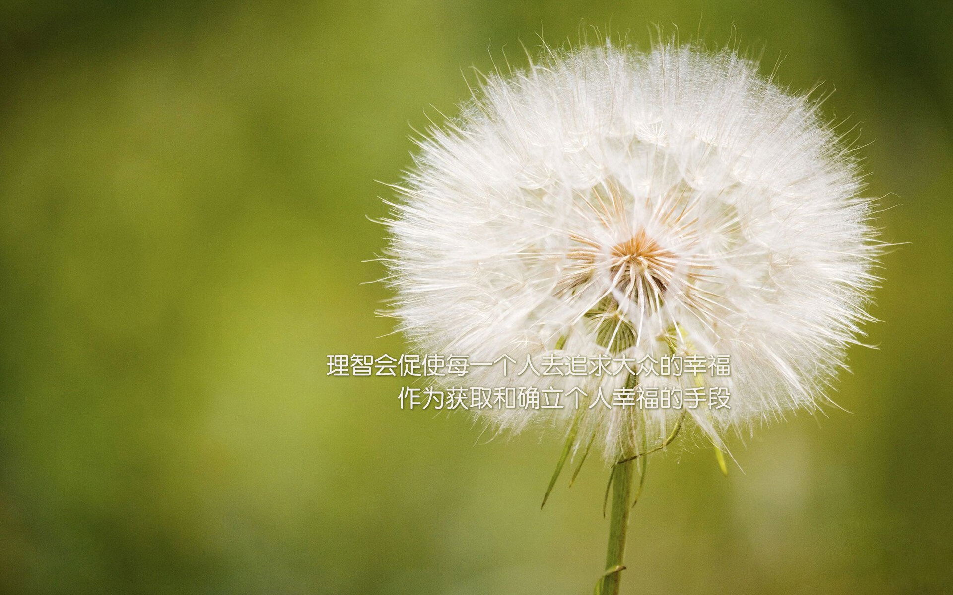 乔治暴走快船轻取雄鹿，快船乔治伤病