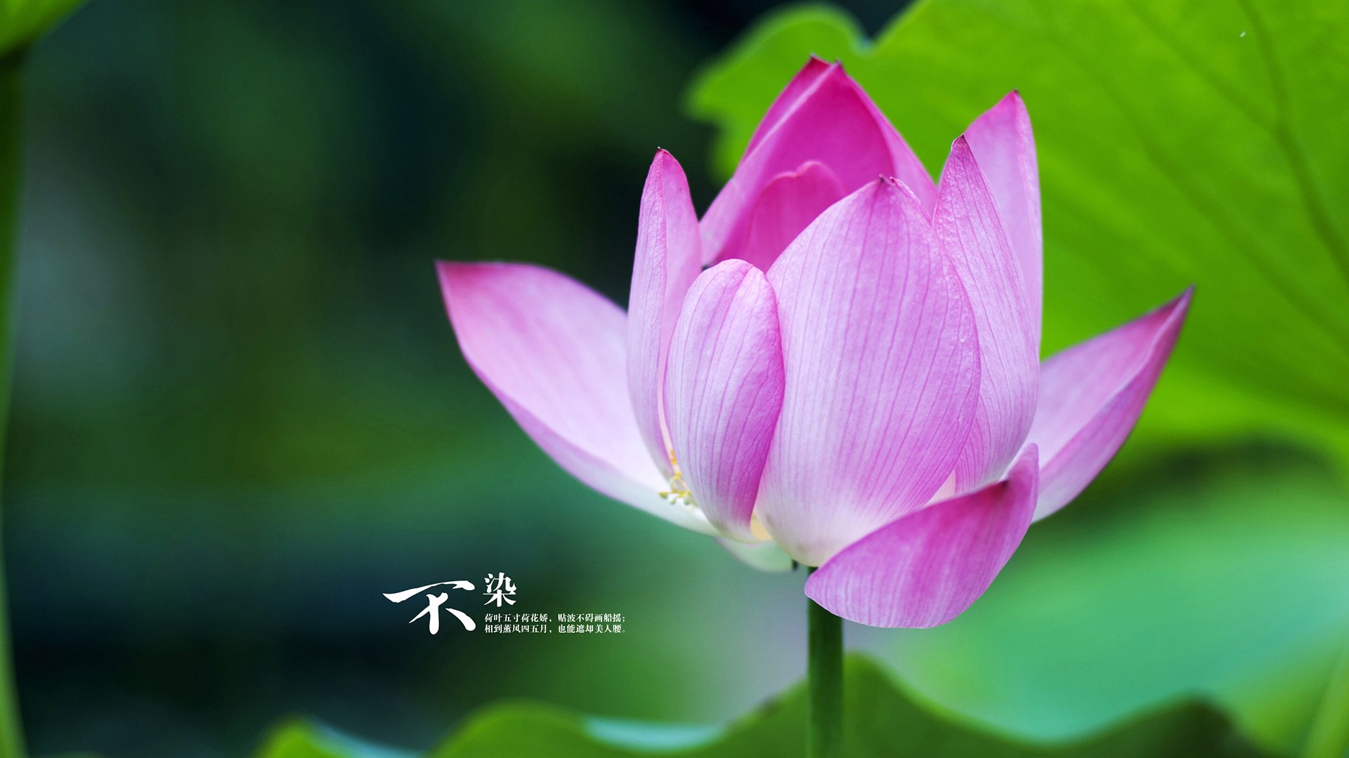 体育新闻中心发布运动员健康数据管理平台，运动员 健康