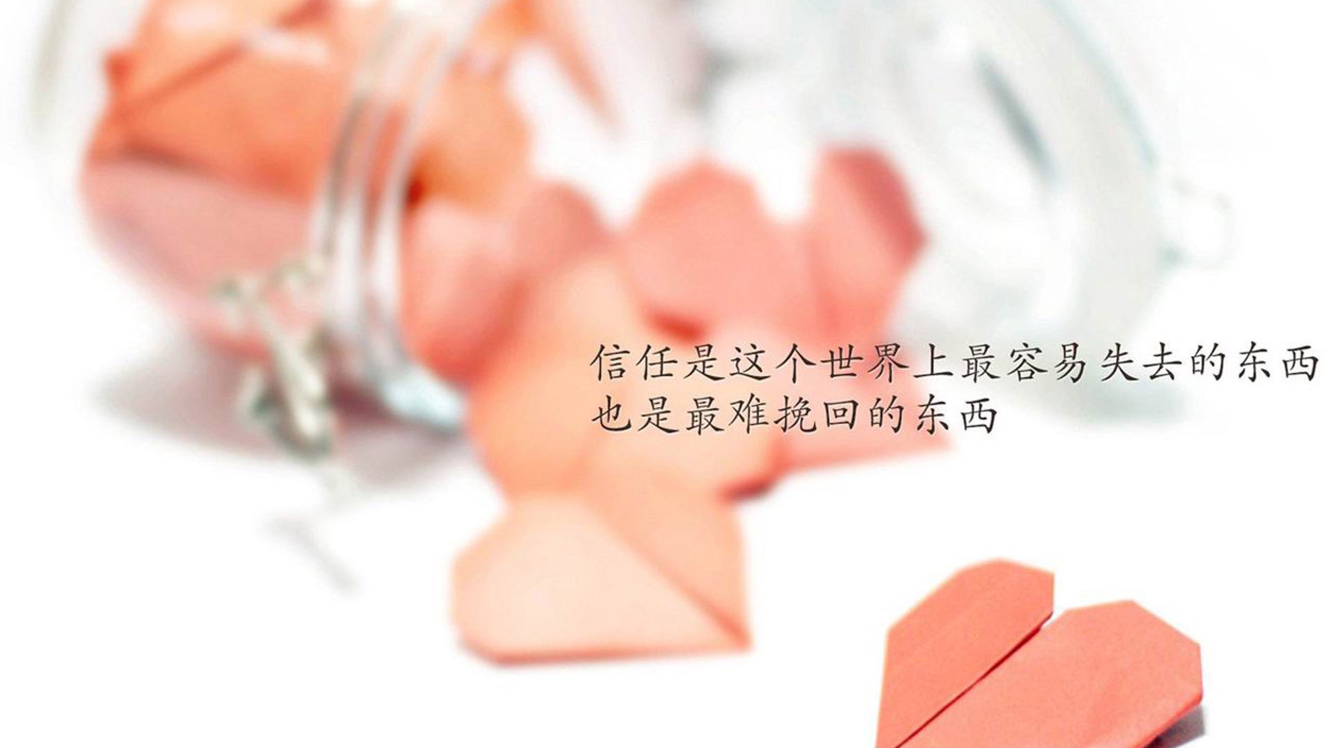 kaiyun体育综合-退役国手回归母校担任教练传承精神鼓舞新一代少年